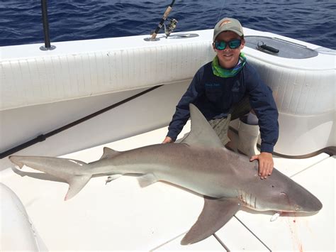 Shark fishing - Capt. Johnson usually goes with an 8/0 inline circle hook for inshore and nearshore shark fishing. Since you're usually going to cut the ...